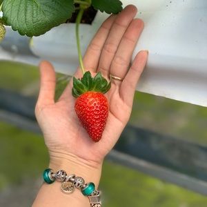 Meet your Posher, Minh